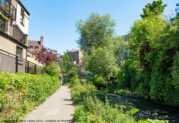 Footpath along the Water of Leith  Picture Board by Chris Yaxley