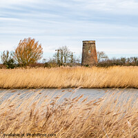 Buy canvas prints of Drainage mill, Norfolk Broads by Chris Yaxley