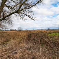 Buy canvas prints of The Norfolk countryside  by Chris Yaxley