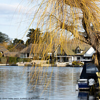 Buy canvas prints of River Bure, Norfolk Broads by Chris Yaxley