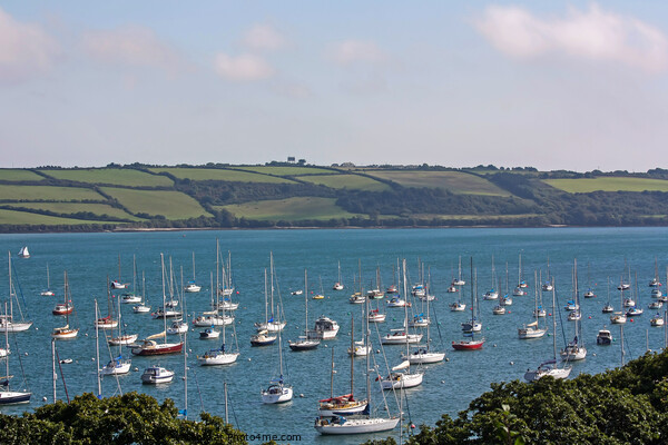 View over the Camel Estuary, Cornwall Picture Board by Chris Yaxley