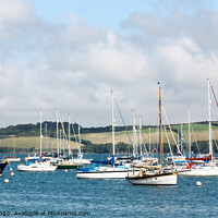 Buy canvas prints of Cornish sailboats in the Camel Estuary by Chris Yaxley