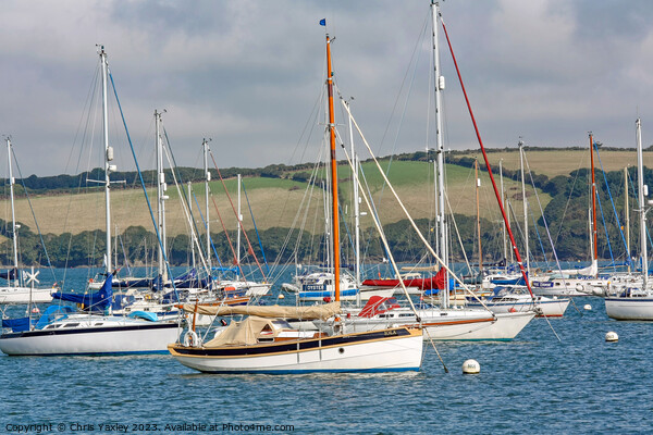 Cornish sailboats Picture Board by Chris Yaxley