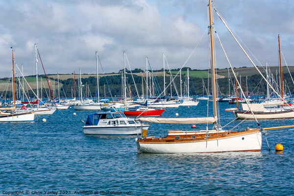 Boats moored on the River Camel, Cornwall Picture Board by Chris Yaxley