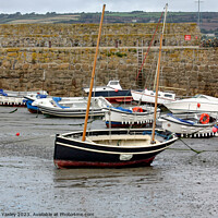 Buy canvas prints of Low tide at Padstow Harbour by Chris Yaxley