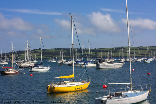 View across the Camel Estuary, Cornwall Picture Board by Chris Yaxley