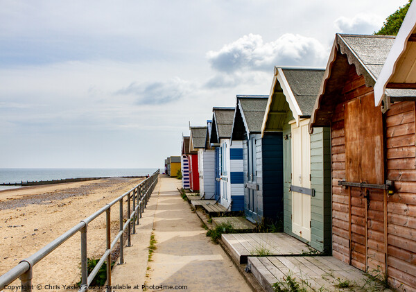 Wooden beach huts Picture Board by Chris Yaxley