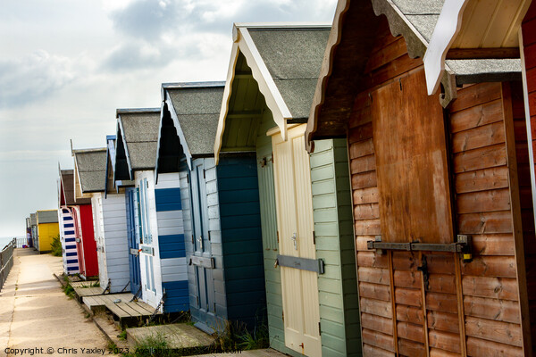 Seaside beach huts Picture Board by Chris Yaxley