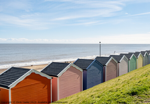 Gorleston Beach huts, Norfolk Picture Board by Chris Yaxley