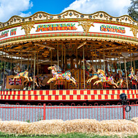 Buy canvas prints of Traditional Victorian carousel by Chris Yaxley