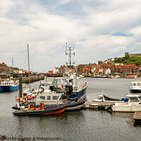 Buy canvas prints of Boats moored up in Whitby marina by Chris Yaxley