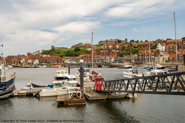 Whitby Marina, North Yorkshire Picture Board by Chris Yaxley