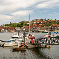 Buy canvas prints of Whitby Marina, North Yorkshire by Chris Yaxley