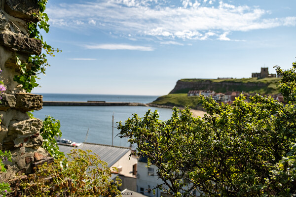 A high up view over Whitby harbour Picture Board by Chris Yaxley