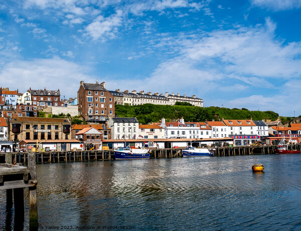 A sunny day in Whitby  Picture Board by Chris Yaxley