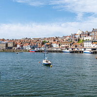 Buy canvas prints of View across the River Esk and Whitby harbour on the North Yorkshire coast by Chris Yaxley