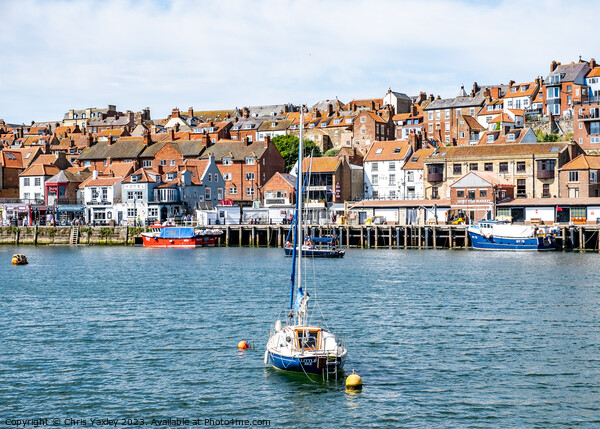 Whitby Harbour, North Yorkshire Picture Board by Chris Yaxley