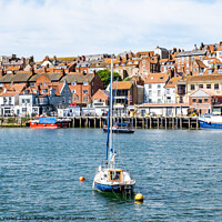 Buy canvas prints of Whitby Harbour, North Yorkshire by Chris Yaxley