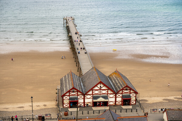 Victorian pier on the coast Picture Board by Chris Yaxley