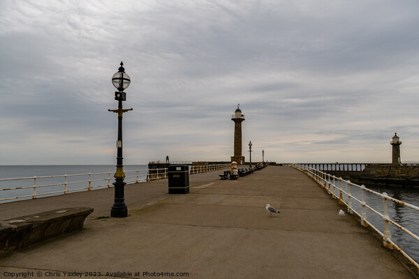 The east pier in the seaside town of Whitby on the Picture Board by Chris Yaxley