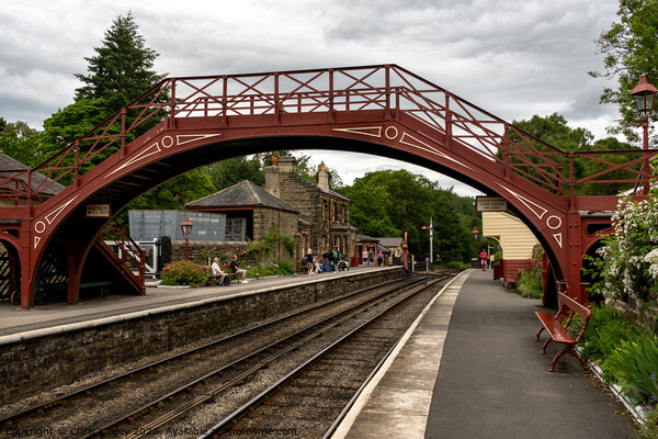 Bridge over the railway Picture Board by Chris Yaxley
