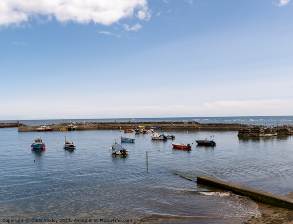 Sunny day at Staithes Harbour, North Yorkshire Picture Board by Chris Yaxley
