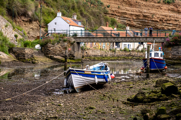Staithes, North Yorkshire Picture Board by Chris Yaxley