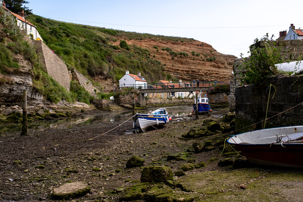 The seaside village of Staithes Picture Board by Chris Yaxley