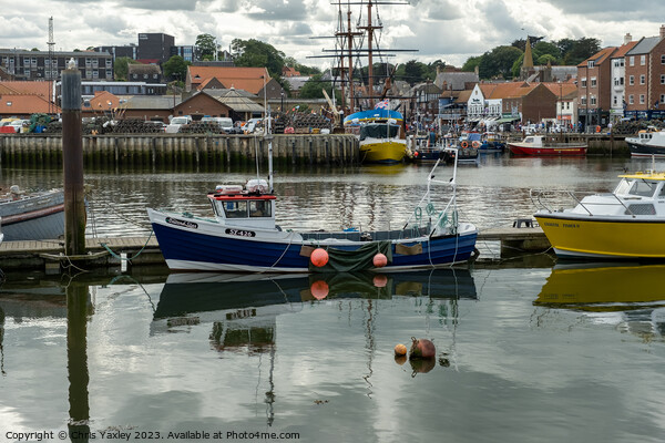 Whitby fishing boats Picture Board by Chris Yaxley