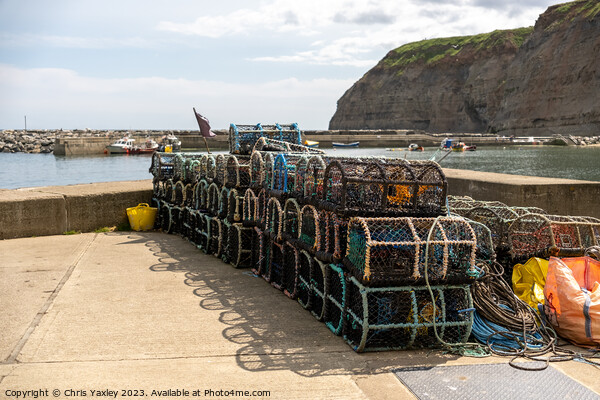Fishing in Staithes Picture Board by Chris Yaxley