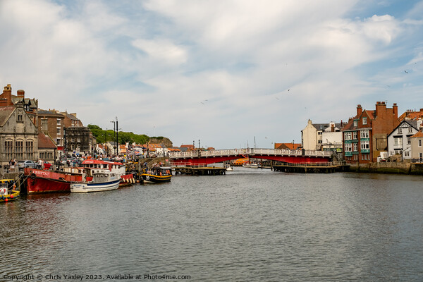 The River in the seaside town of Whitby, North Yorkshire Picture Board by Chris Yaxley