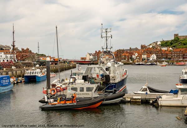 Whitby marina on the North Yorkshire coast Picture Board by Chris Yaxley