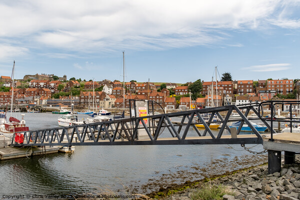 Whitby marina, North Yorkshire Picture Board by Chris Yaxley
