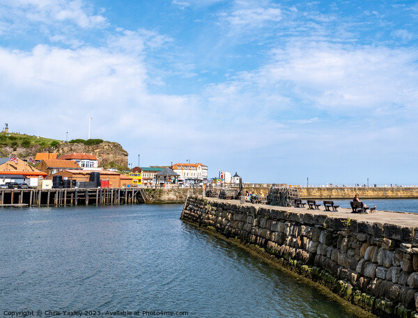 Tate Hill Pier, Whitby Picture Board by Chris Yaxley