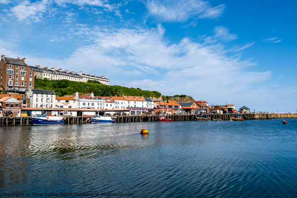 View across Whitby, North Yorkshire Coast Picture Board by Chris Yaxley