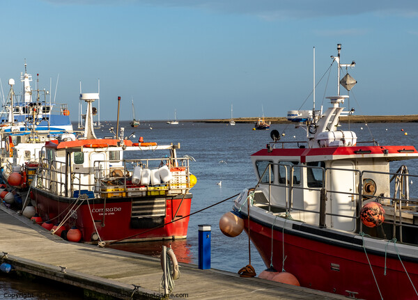 Close up of fishing boats in the harbour Picture Board by Chris Yaxley