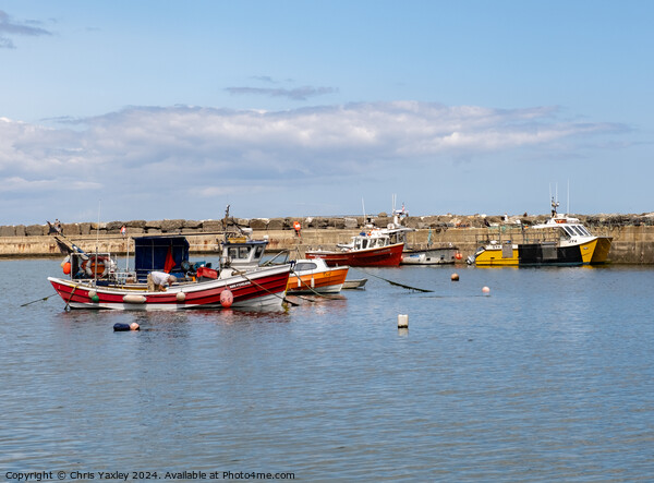Fishing boats in Staithes harbour, North Yorkshire Picture Board by Chris Yaxley