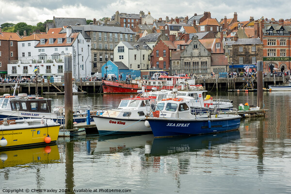 Fishing boats in Whitby harbour Picture Board by Chris Yaxley