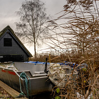 Buy canvas prints of Boats outside the boat shed at How Hill staithe, Norfolk Broads by Chris Yaxley
