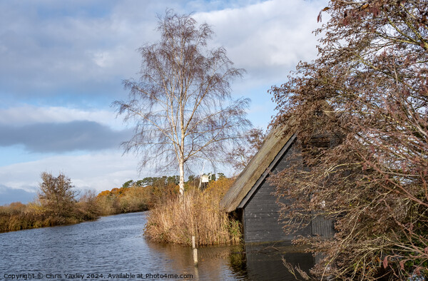 Wooden boat shed on the RIver Ant Picture Board by Chris Yaxley