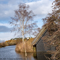 Buy canvas prints of Wooden boat shed on the RIver Ant by Chris Yaxley