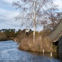 Buy canvas prints of River Ant at How Hill, Norfolk Broads by Chris Yaxley