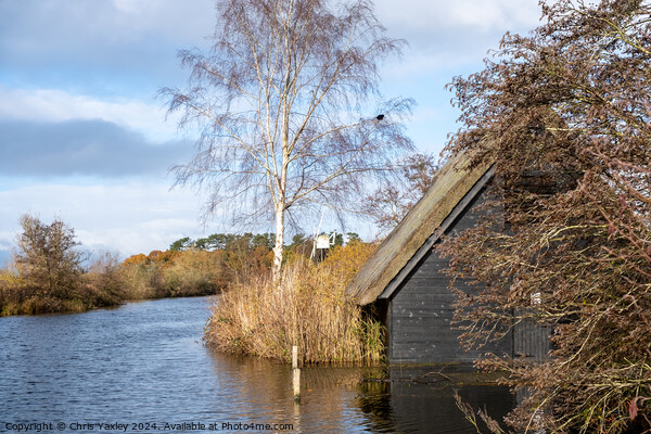 Traditional boat shed on the River Ant, How Hill Picture Board by Chris Yaxley