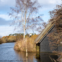 Buy canvas prints of Traditional boat shed on the River Ant, How Hill by Chris Yaxley