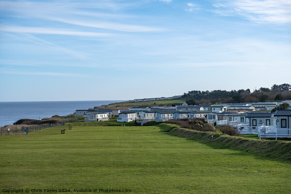 Caravan site on the cliffs Picture Board by Chris Yaxley