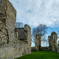 Buy canvas prints of Priory of St Mary in the meadow by Chris Yaxley