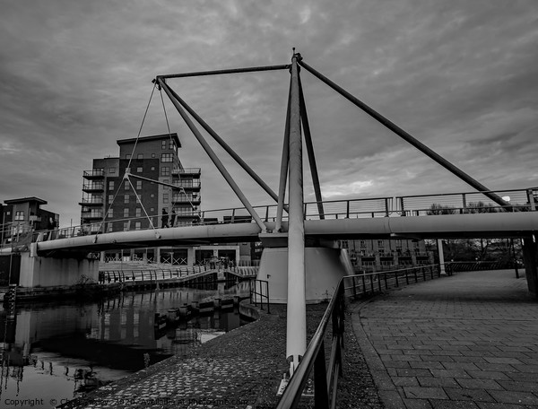 Novi Sad Friendship bridge, Norwich Picture Board by Chris Yaxley
