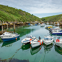 Buy canvas prints of Boats in the harbour at Porthclais by Chris Yaxley