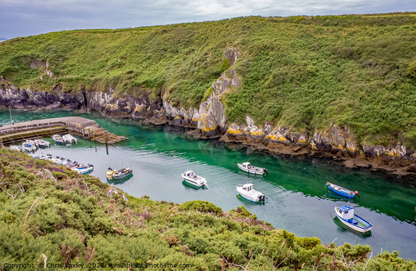 Looking down on Porthclais Harbour, Wales Picture Board by Chris Yaxley
