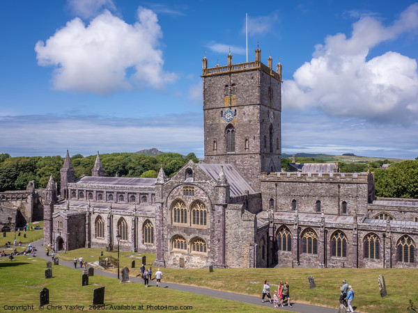 St David's Cathedral, Pembrokeshire Picture Board by Chris Yaxley
